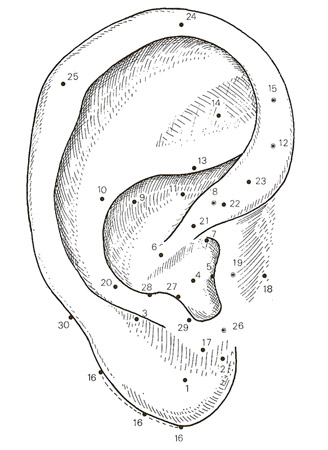 Réflexologie Auriculaire - Auriculothérapie à Marseille Réflexologie Auriculaire - Auriculothérapie à Marseille